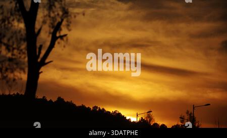 View of a fiery sunset paints the horizon in hues of orange and gold, silhouetting the trees against the vibrant sky, Islamabad, Islamabad Capital Ter Stock Photo