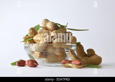 Glass bowl with shelled and opened peanuts showing the seeds and leaves decoration isolated on white background. Front view. Stock Photo