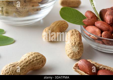 Peanuts with skin on a white table with glass bowl full of shelled peanuts and leaves. Elevated view. Stock Photo