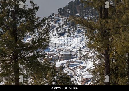 View of snow-dusted buildings nestled on a hillside, framed by dark green pine trees, creating a serene winter scene, Murree, Punjab, Pakistan. Stock Photo
