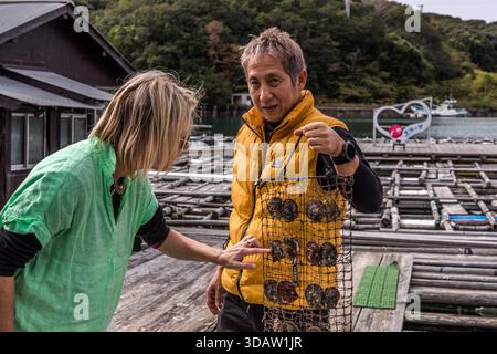 A member of staff at Shinju no Sato Pearl Experience holds up a rack containing around 30 oysters. Tourists choose their oyster for a "pearl picking" session. Shima, Mie, Japan Stock Photo
