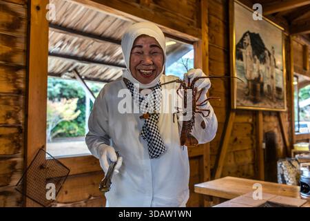 A live Ise lobster is held up by Ama diver Kimiyo Hayashi as she prepares fresh seafood on a charcoal stove right in front of the guests, in a replica of a traditional ama hut on the coast of Mie, Shima, Mie Prefecture, Japan. Stock Photo