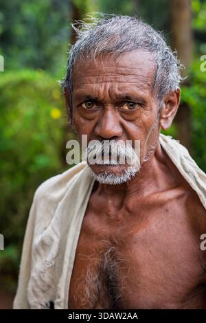 Elderly Indian farmer, Odisha, India Stock Photo