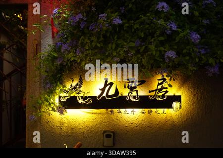 view-of-the-hotel-of-the-national-chinese-architecture-at-night-painted