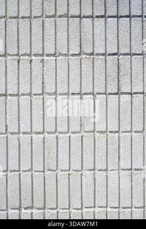 This concrete wall features a detailed grid pattern, showcasing a modern, minimalistic design. Its surface appears textured, exemplifying durability a Stock Photo