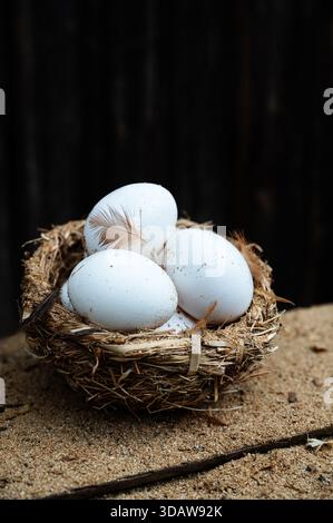 Three white eggs rest in a natural straw basket on a sandy surface, accented with soft feathers. The dark, blurred background enhances the rustic, org Stock Photo