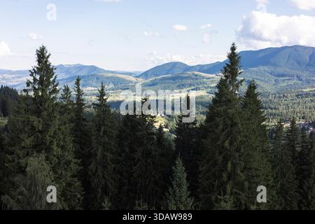 Scenic view of lush evergreen trees overlooking rolling mountains under a bright summer sky. The idyllic landscape captures the essence of tranquility Stock Photo
