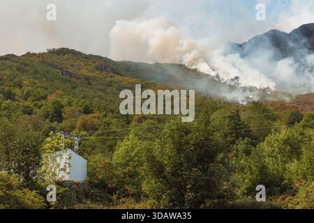 Thick smoke billows from a forest fire in the Somiedo Valley, Asturias, Spain. The image captures the vastness of the wildfire consuming the lush gree Stock Photo