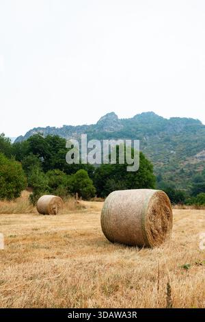 Hay bales rest in an open field against the lush, mountainous backdrop of Somiedo Valley in Asturias, northern Spain, offering a glimpse into rural, n Stock Photo