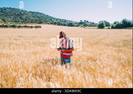 A farmer in a red vest and cap uses a tablet while standing in a golden barley field in Guadalajara, Spain, highlighting the blend of agriculture and Stock Photo