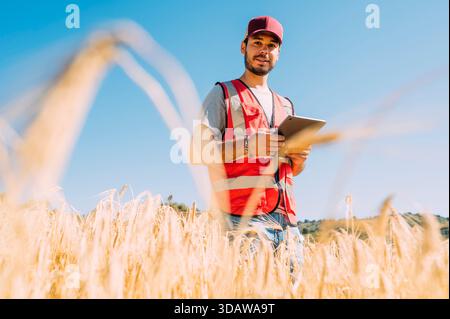 A farmer stands amidst a golden barley field in Guadalajara, Spain, using a tablet to manage farming activities, showcasing modern agriculture and tec Stock Photo