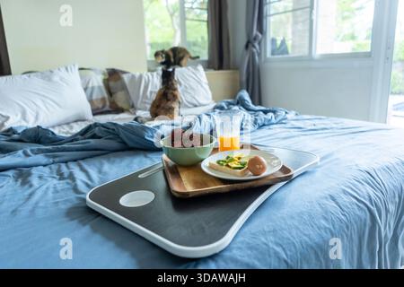 A cozy bedroom scene with a breakfast tray on a bed, featuring toast, juice, a bowl of fruit, and a boiled egg. Two cats sits by a bright window in th Stock Photo