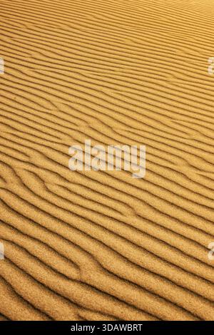 A close-up view of the intricate patterns formed by wind on the sand dunes of Patara Beach, capturing the natural texture and golden hues in a mesmeri Stock Photo