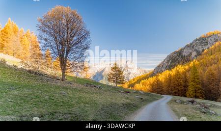 A tranquil mountain path winds through vibrant autumn trees, leading the eye to majestic snow-capped peaks in the distance, under a clear blue sky. Stock Photo