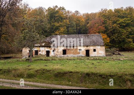 Front view of an abandoned rural house with damaged roof and boarded openings in autumn landscape Stock Photo
