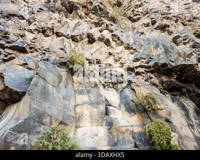 A rock wall with plants growing on it. The plants are small and green. The wall is made of gray and black rocks Stock Photo