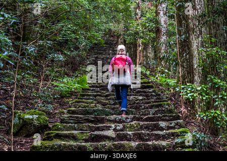 A hiker with a red backpack climbs a steep stone staircase on the Kumano Kodo pilgrimage route near Nachikatsuura, Wakayama Prefecture, Japan. Moss-covered steps lead through dense cedar forest. Stock Photo