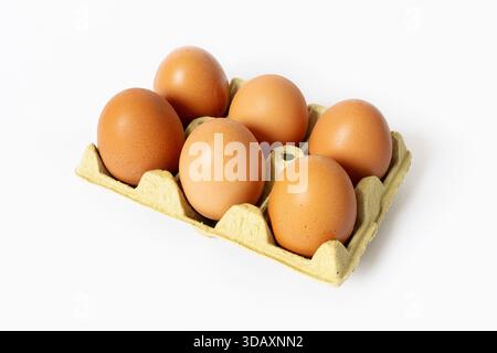 Six organic brown eggs in a carton isolated on white background Stock Photo
