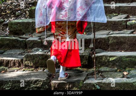 Wooden toe sandals and a tightly bound kimono move step by step up the stone-paved Daimon-zaka stairway on the Kumano Kodo pilgrimage route near Nachikatsuura, Wakayama Prefecture, Japan. Red hakama trousers and white tabi socks are part of the rented Heian-style kimono experience offered along this trail section. Stock Photo