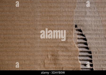 Detail of a piece of torn corrugated cardboard Stock Photo