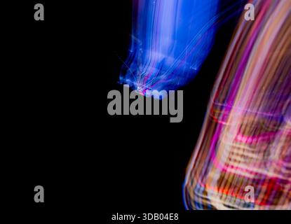 colorful vibrating shapes and patterns on light on a black background Stock Photo