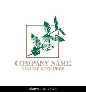Coffee plant logo, coffee beans branch with leaves, natural organic coffee brand identity, hand-drawn vintage style coffee icon, cafe restaurant shop Stock Vector