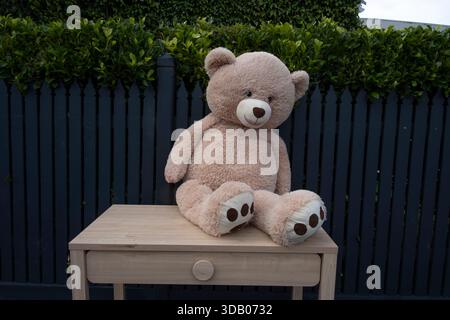 An abandoned teddy bear outside a suburban house in Clifton Hill, Melbourne, Victoria, Australia. Stock Photo