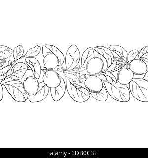 Ximenia Outline Horizontal Seamless Pattern. Stock Vector