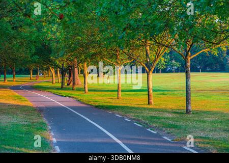 A tranquil South Hill Park in Bracknell, Berkshire, scene features a winding asphalt path lined with trees, bathed in warm afternoon light. Ideal for Stock Photo