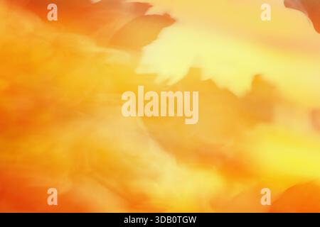 Abstract orange defocused background. Blurred autumnal scene. Stock Photo