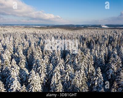 Aerial view of a snow-covered conifer forest in the Black Forest with clear blue sky Stock Photo