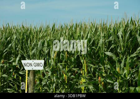 ���ǲ�-�ҲѰ������ǰ����������Ǳ�. Stock Photo