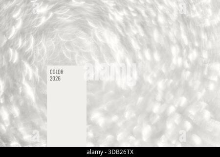 Abstract light pattern with whirling motion and text box featuring color number 2026 on white background. Stock Photo