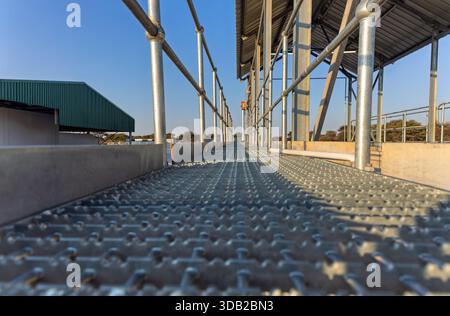 heavy duty industrial walkway, made from galvanized or expanded steel mesh, safe pedestrian access with safety railings at an industrial outdoor proce Stock Photo