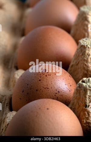 Macro shot capturing the textured brown shells of free-range organic eggs nestled in a natural, rustic cardboard egg box Stock Photo