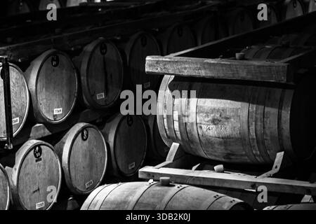 Rows of aged oak barrels are stored in a dimly lit warehouse, hinting at the aging process of fine spirits or wine Stock Photo
