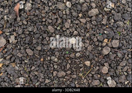 Dark brown-gray, detailed pattern of soil, sand, and fine aggregate. Natural, rough texture with small stones and fragments of vegetation. Stock Photo