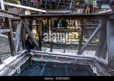 A woman cooking tamago onsen at the yuzutsu (public cooking area) in the centre of Yunomine Onsen. People have been using the hot springs for cooking since at least the Edo period (1603 to 1868). Tanabe, Wakayama Prefecture, Japan Stock Photo