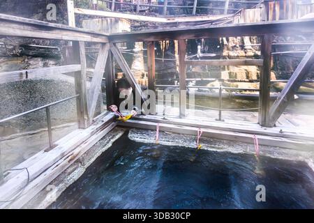 A woman cooking tamago onsen at the yuzutsu (public cooking area) in the centre of Yunomine Onsen. People have been using the hot springs for cooking since at least the Edo period (1603 to 1868). Tanabe, Wakayama Prefecture, Japan Stock Photo