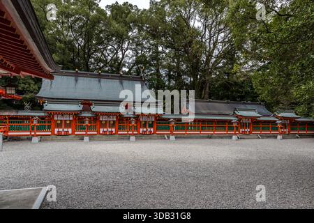 The red and green shrine buildings of Kumano Hayatama Taisha stand beneath dense tree cover in Shingū, Wakayama Prefecture. The shrine is one of the three Grand Kumano Shrines (Kumano Sanzan), alongside Kumano Hongū Taisha and Kumano Nachi Taisha, and part of the UNESCO World Heritage Site "Sacred Sites and Pilgrimage Routes in the Kii Mountain Range" since 2004. Stock Photo