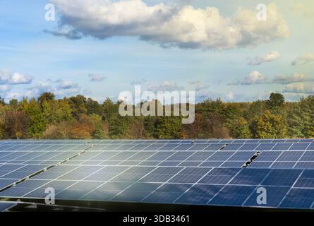 Large solar panel array generating clean renewable energy outdoors with trees and blue sky in background. Sustainable power production concept with Stock Photo