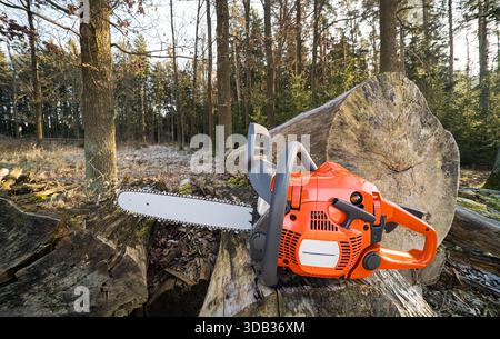 Sharp portable gasoline chainsaw on felled tree trunk in sunny forest. Orange hand-held sawing machine with replaceable chain on alloy steel guide bar. Stock Photo