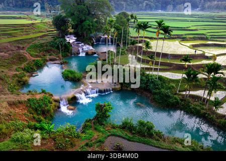 The spectacular Wee Kacura waterfall at sunrise, surrounded by water-filled terraced rice fields on the tropical island of Sumba, Indonesia. Stock Photo