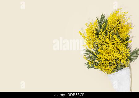 Spring Mimosa Bouquet Wrapped In White Paper On Soft Beige Background. Ideal For Women's Day Designs, Spring Sale Promotions, Elegant Floral Backgroun Stock Photo