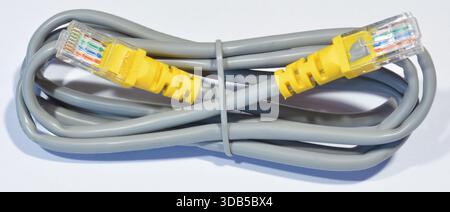 Gray LAN cable with plastic connectors Stock Photo