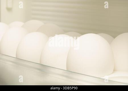 Eggs are arranged neatly in a tray placed inside a refrigerator during sunny day hours. The kitchen is bright and organized. Stock Photo
