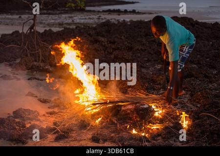 Man arranging burning palm branches on a rocky shoreline in the Bijagos Archipelago, Guinea-Bissau. Stock Photo