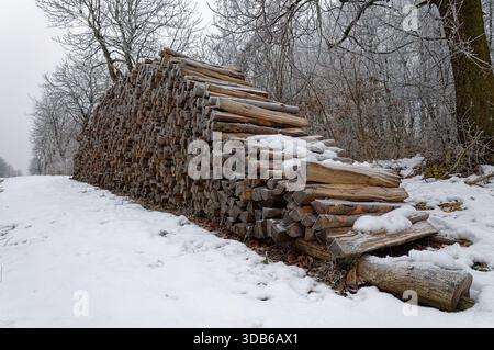 A large stack of firewood covered with snow sits in a winter landscape with frosty trees. Stock Photo