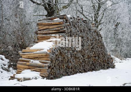 A large stack of firewood covered with snow sits in a winter landscape with frosty trees. Stock Photo