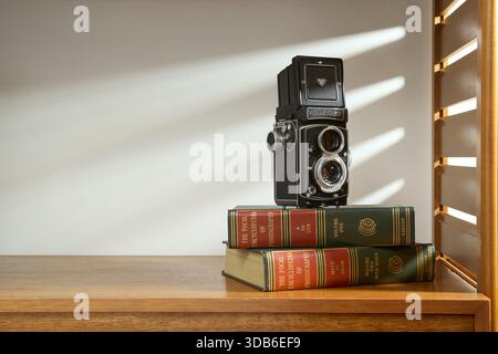 A 1960's vintage Rolleicord film camera and photography books on a 1970's Ladderax wooden shelf. Stock Photo
